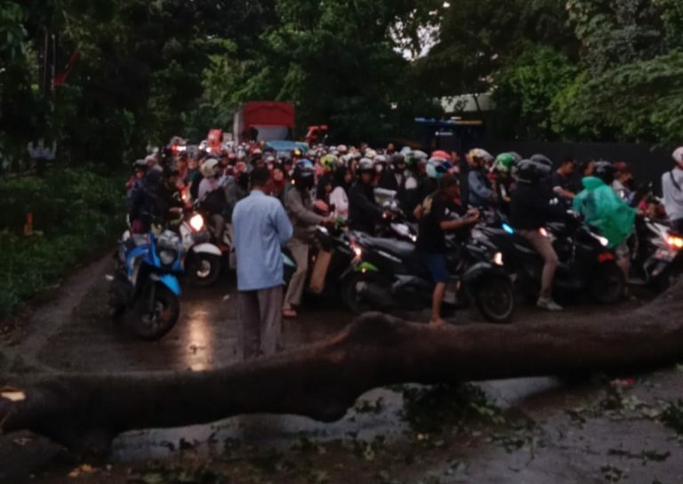 Jalan Mercedes Benz Lumpuh