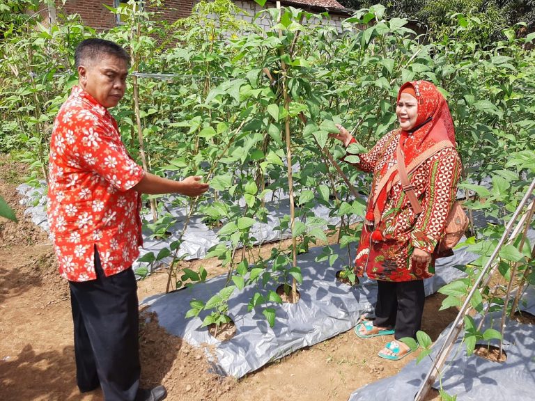 BPP Dorong Ketahanan Pangan Melalui Kelompok Wanita Tani