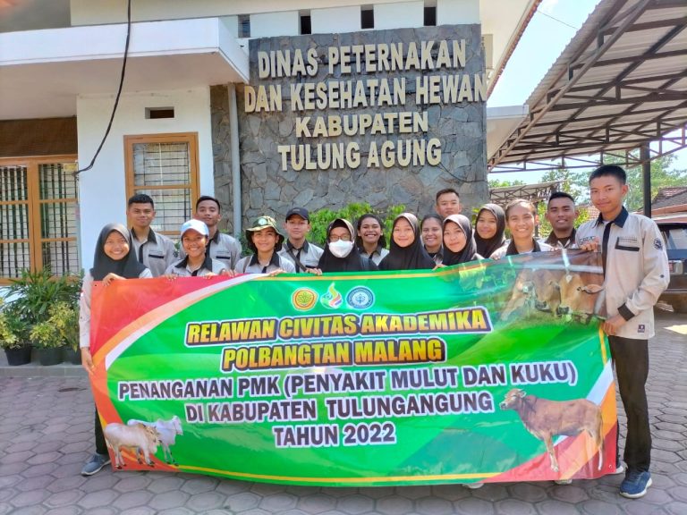 Tangani PMK di Tulungagung, Kementan Turunkan Tim Relawan