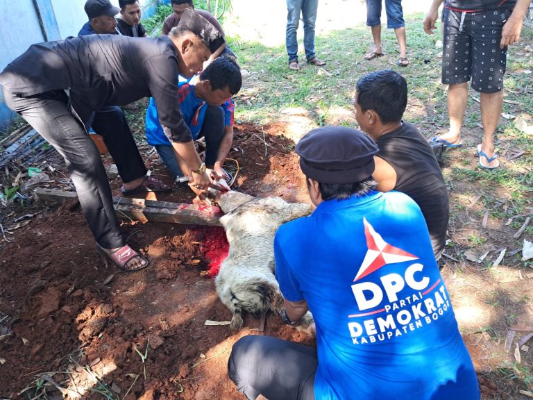 Tingkatkan Kepedulian dan Kepekaan Sosial, DPC Partai Demokrat Kabupaten Bogor Sembelih 13 Hewan  Qurban