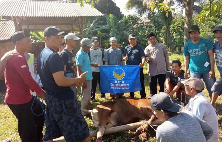Idul Adha 1443 Hijriah, Nasdem Kabupaten Bogor Tebar Hewan kurban