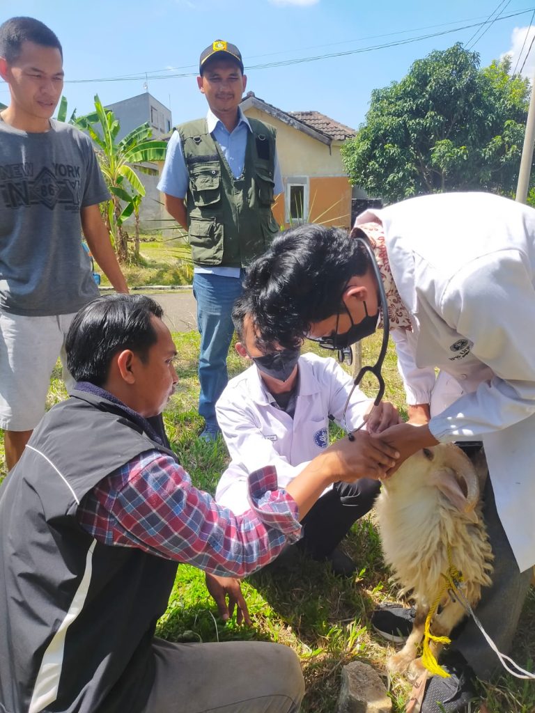 UPT Puskeswan Monitoring Pemotongan Hewan Kurban