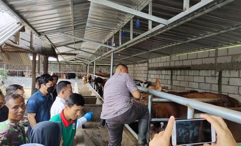 Amankan Ternak dari PMK, Kabupaten Majalengka Gandeng TNI dan Polri