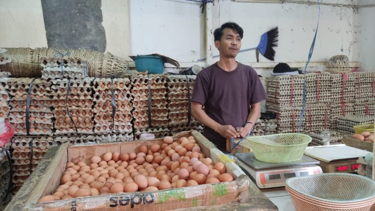 Harga Telur Meroket, Ini Penyebabnya