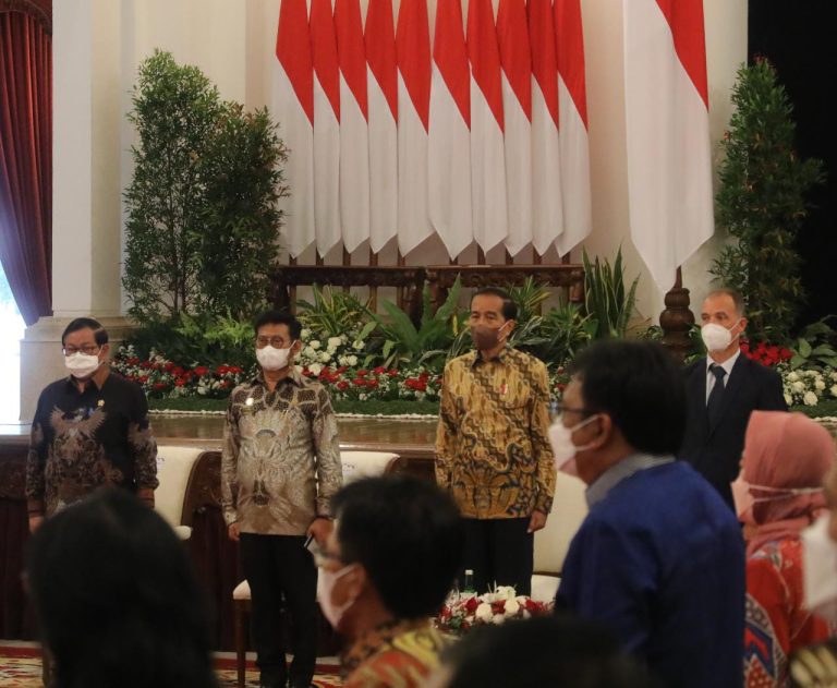 Dunia Internasional Akui Tiga Tahun Indonesia Swasembada Beras
