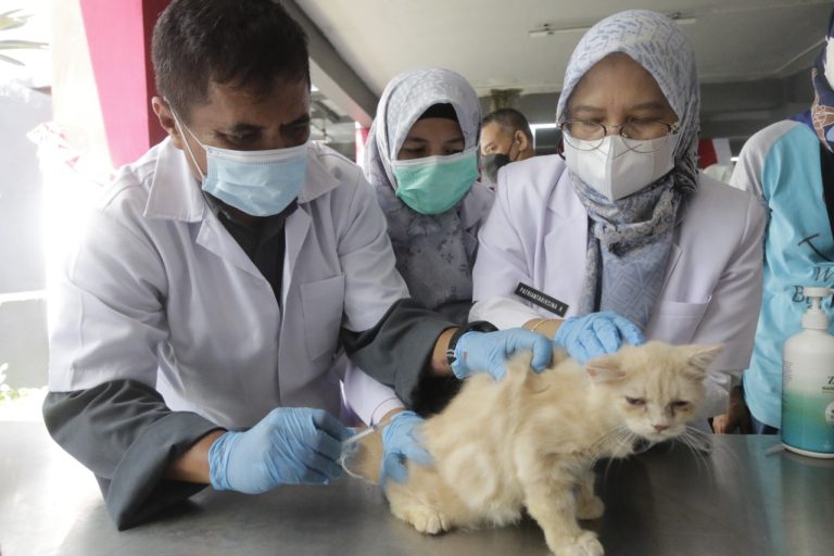DKPP dan Kecamatan Botim Gelar Vaksinasi Rabies