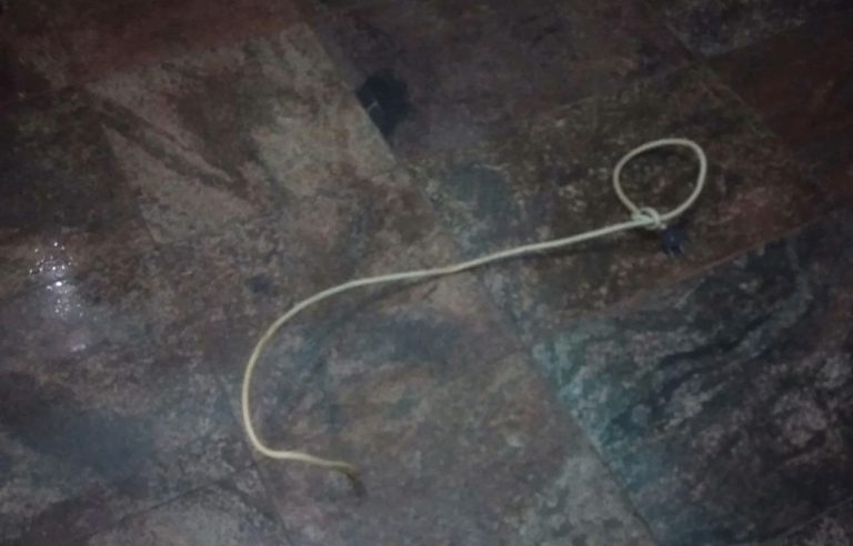 Dibebani Masalah Keluarga, Warga Jasinga Gandir di Rumahnya 