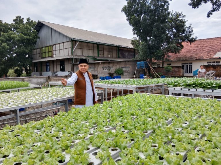 Pemdes Wanaherang Alokasikan Dana Desa untuk Sayuran Hidroponik