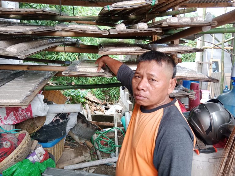 Harga Kacang Kedelai Melejit, Pengusaha Tempe Menjerit 