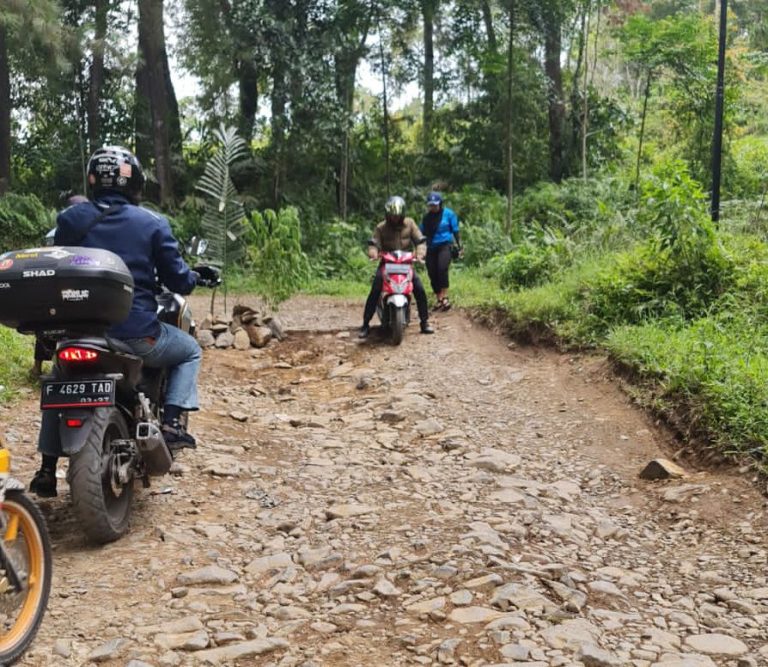 Masyarakat Malasari Tanam Pohon, Protes Jalan Rusak. Dewan: Tahun Ini Akan Dibangun 
