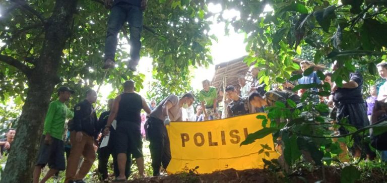 Pria Diduga Gantung Diri di Pohon Manggis Gegerkan Warga