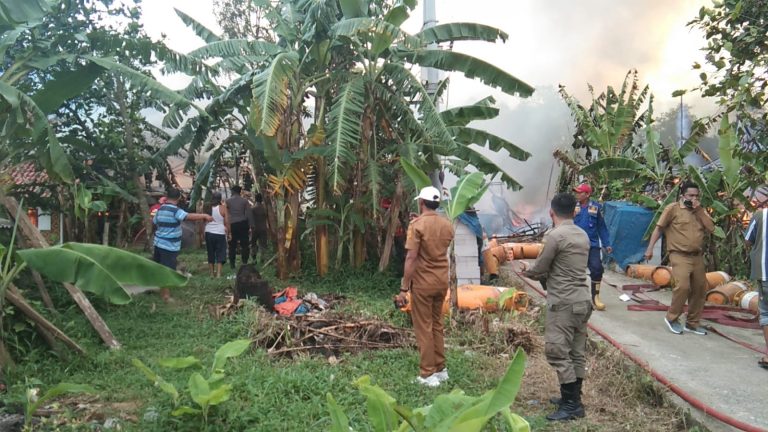 Kandang Dilahap Si Jago Merah, Puluhan Ribu Ekor Ayam Mati Terpanggang
