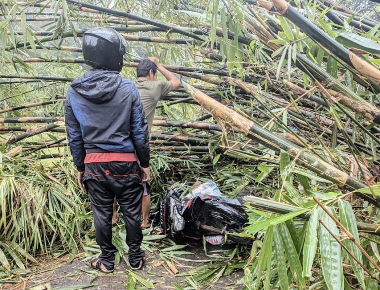 Rumpun Bambu Longsor Timpa Pengendara Sepeda Motor