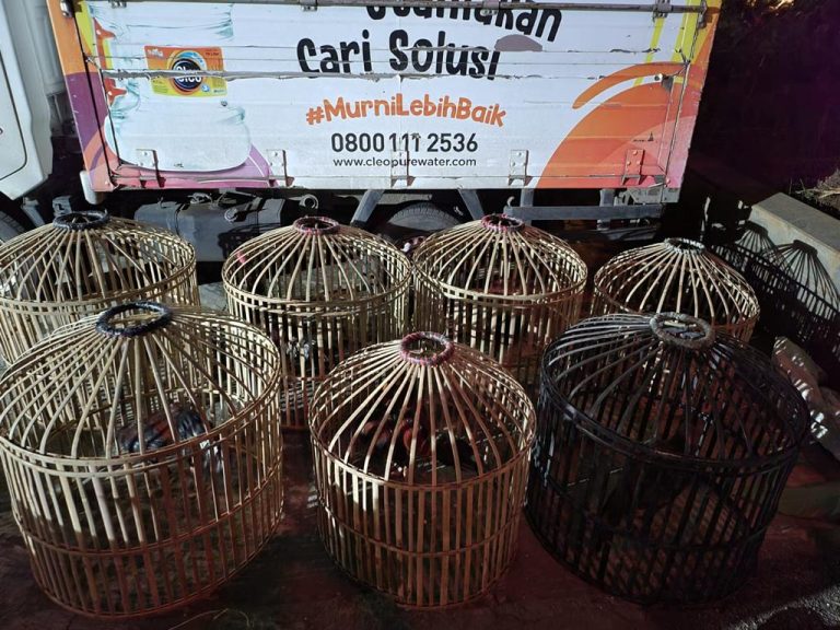 Polsek Cileungsi Amankan 5 Orang Pelaku Judi Sambung Ayam di Gandoang 