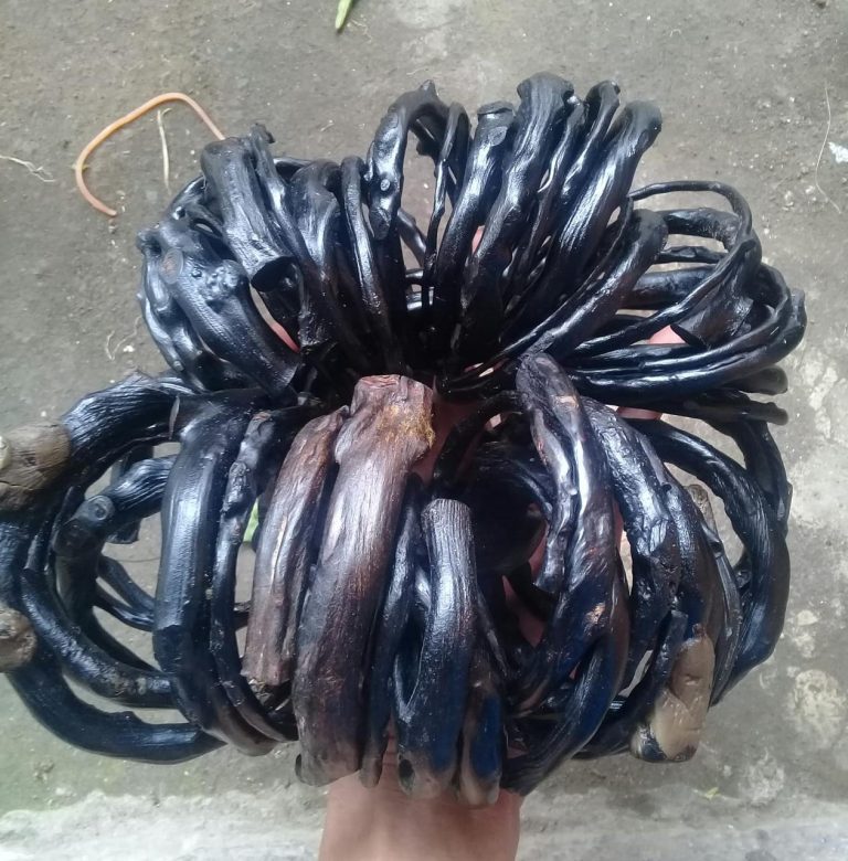 Pengrajin Gelang Akar Bahar Sebut Saat Ini Banyak Peminat 