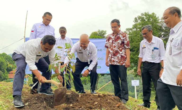 Gernas Penanaman 1000 Pohon UPT BPPSDMP Kementan Kompak Tanam Bibit Durian