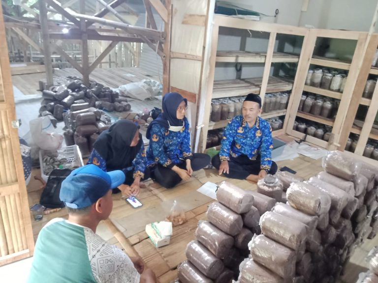 Program Ketahanan Pangan Masih Terkendala Produksi dan Pemasaran
