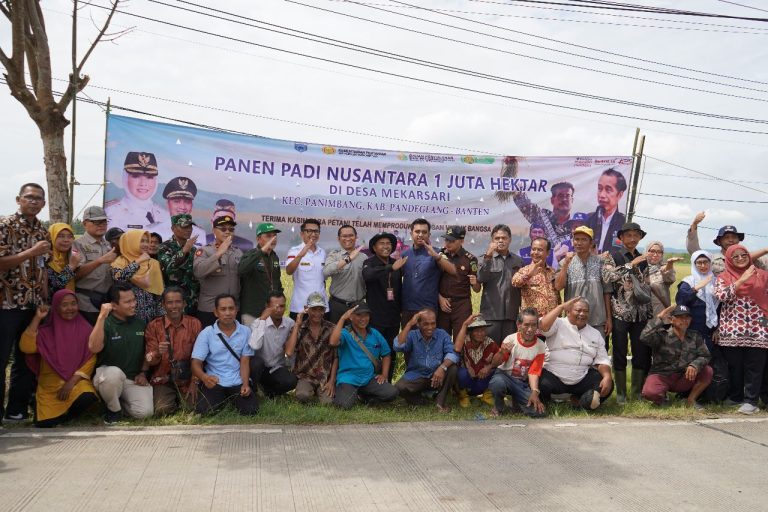 Panen Padi Nusantara Satu Juta Hektare, Kementan Panen 1.227 Ha di Pandeglang