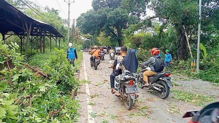 Pangkas Pohon, PLN Unit Leuwiliang Cegah Gangguan Listrik