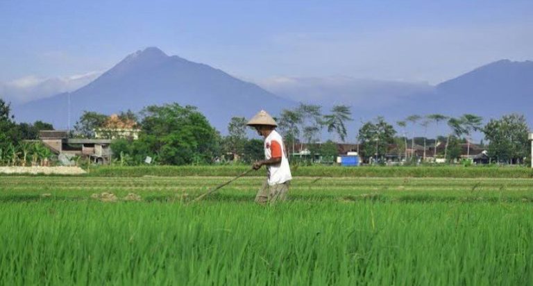 FGD HITI: Kebijakan Publik (termasuk Biosaka) Harus Berdasarkan Kajian Ilmiah