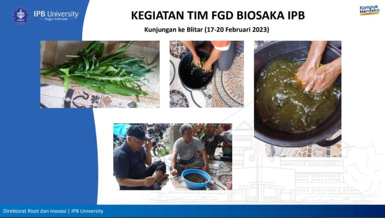 Hasil Lebih Rendah, Biosaka Menekan Pupuk NPK 50% Tidak Terbukti