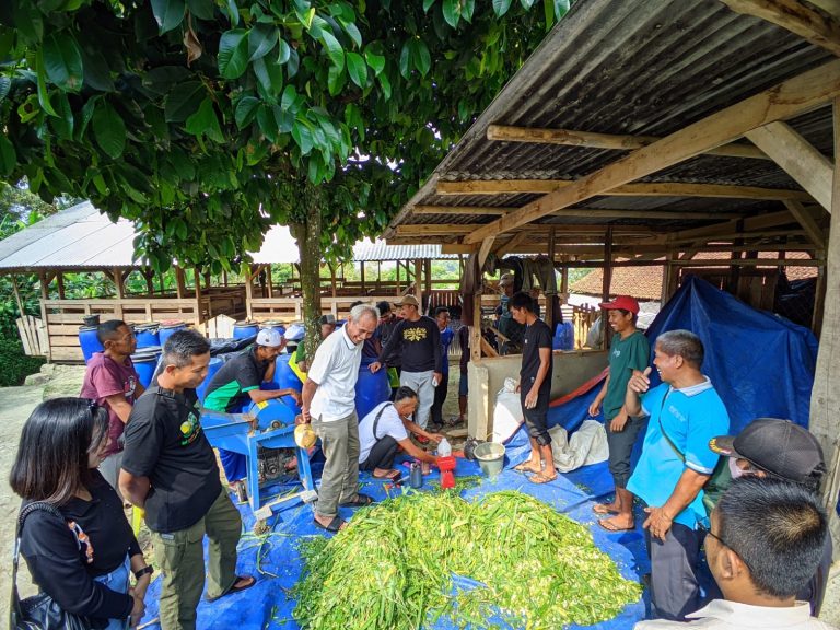 Peternak Domba Tiga Desa di Nanggung Dilatih Teknik Buat Pakan
