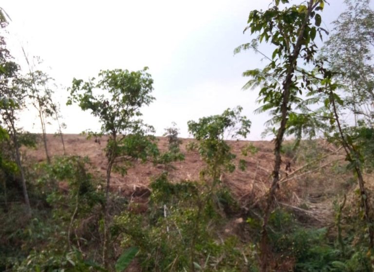 HGU Berpolemik, Camat Sarankan Warga Lapor Kades