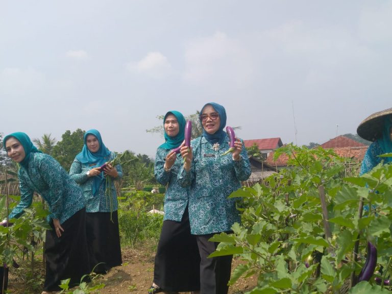 PKK Kabupaten Bogor Monev Program PKK di Kalongliud