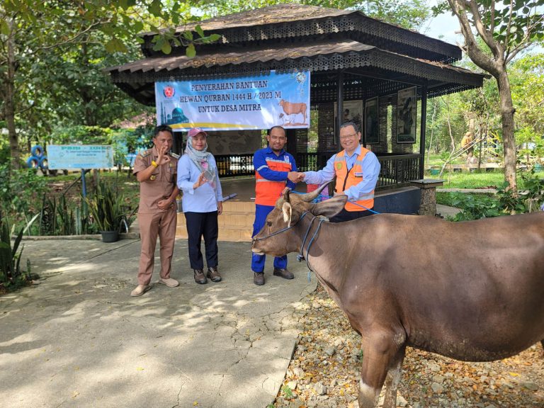 Idul Adha 1444 Hijriah, Indocement Salurkan Ratusan Hewan Kurban