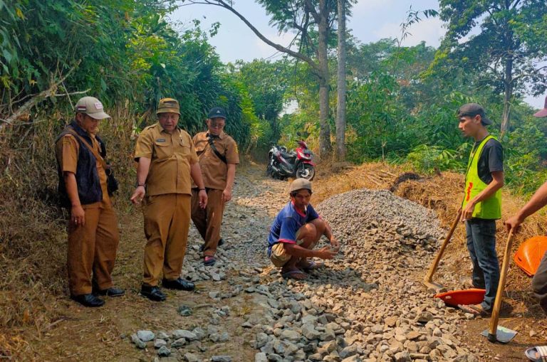 Samisade Cair, Pajak Jangan Telat Bayar