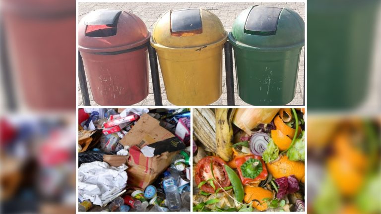 Tata Letak Perusahaan Limbah Yang Ideal Dengan Lingkungan