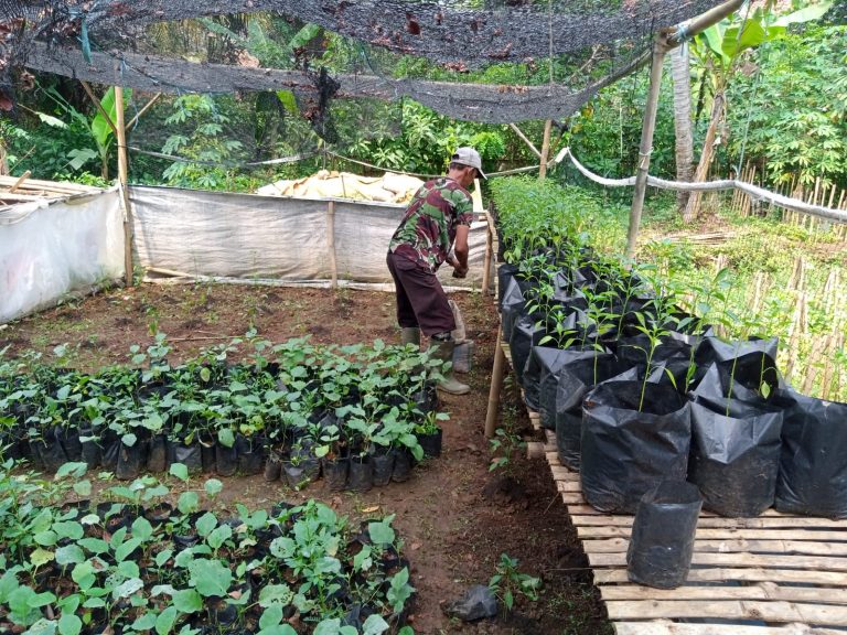Warga Cidua Manfaatkan Lahan Lebih Produktif