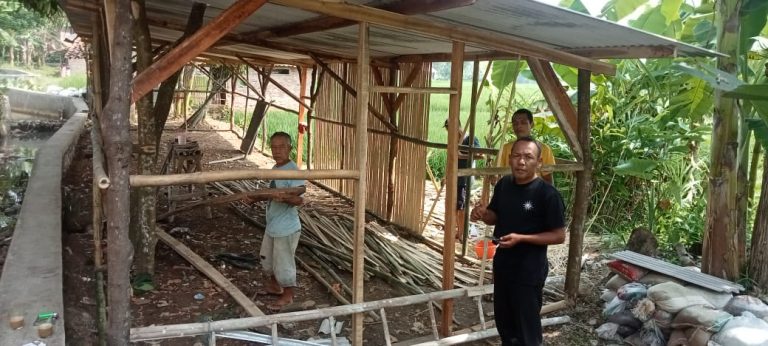 Sadengkolot Bangun Ketahanan Pangan dengan Budidaya Bebek Petelur