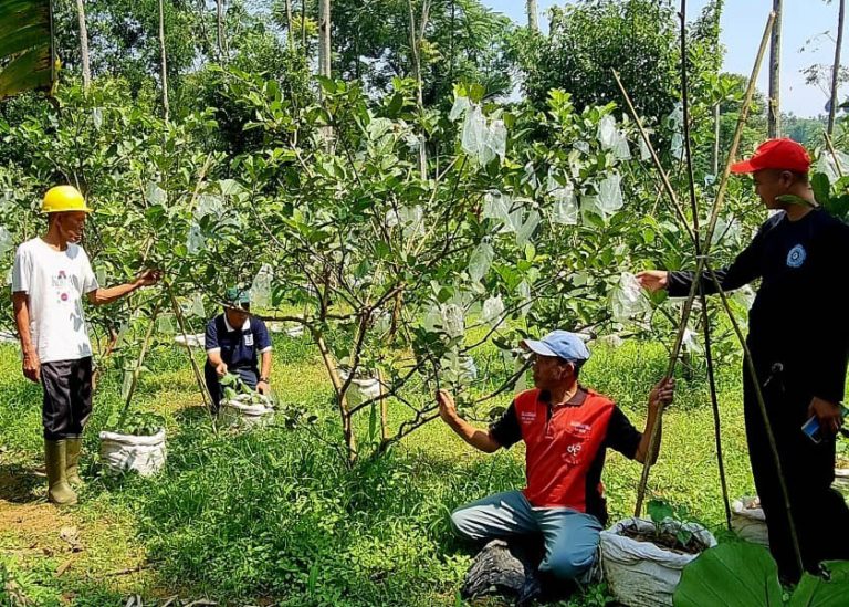 Inilah Kerjasama Masyarakat dan Pabrik AQUA Caringin Dalam Merawat Bumi 