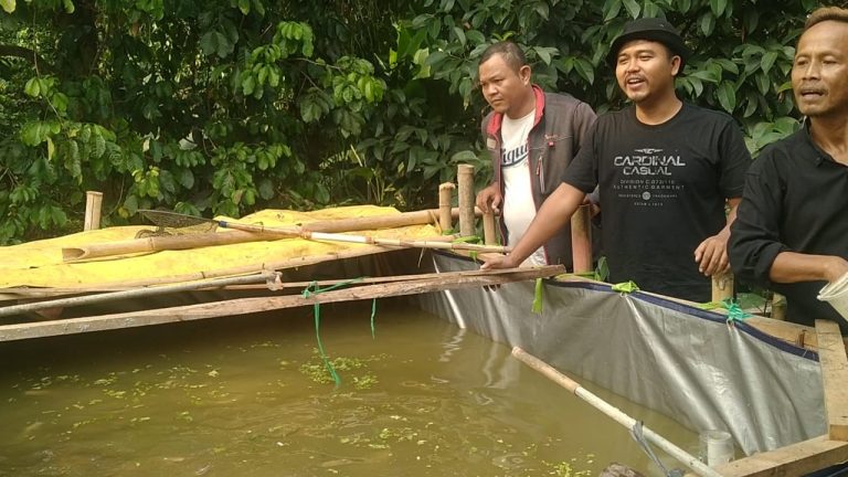 Ketahanan Pangan Desa Parakanmuncang Kembangkan Potensi Desa