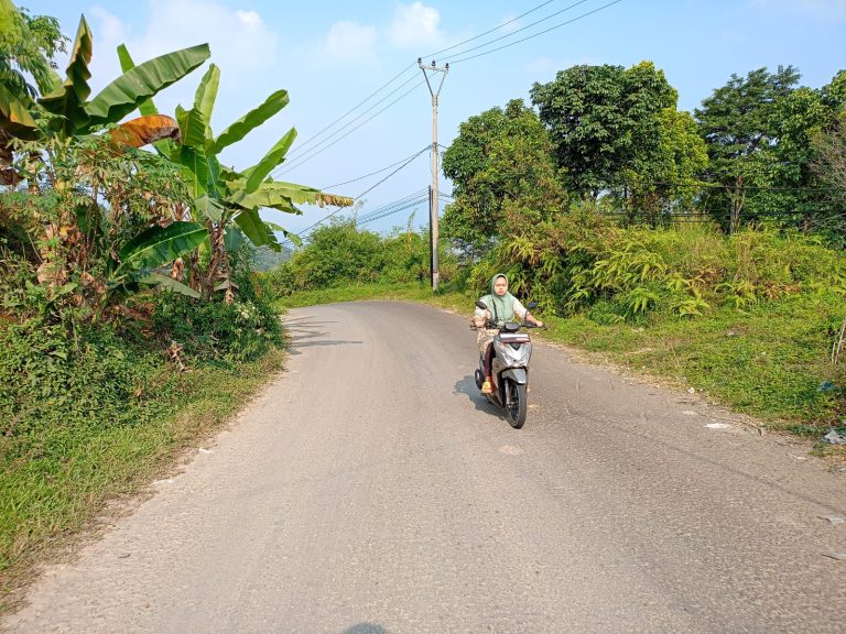 Mimin PJU, Dewan Minta Dishub Tambah Penerangan di Bogor Barat
