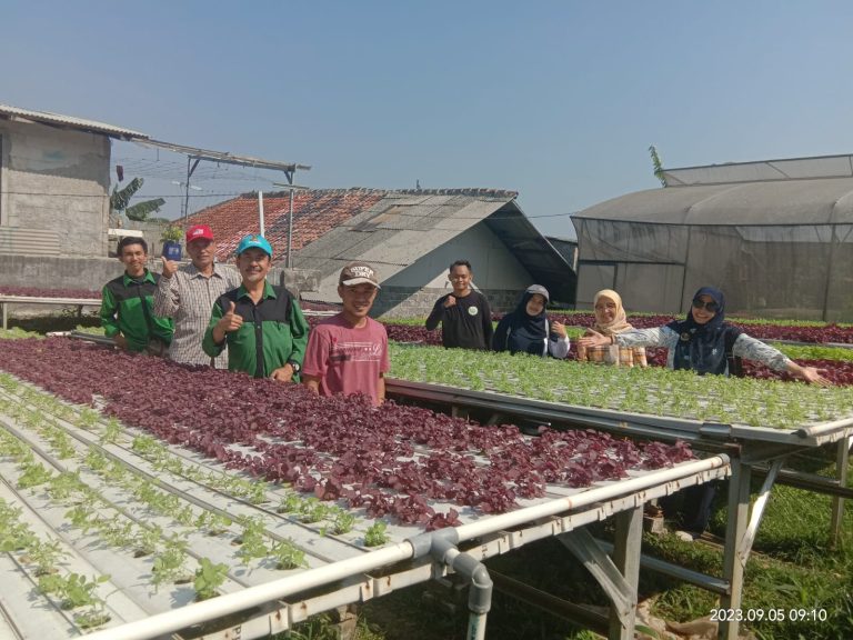 Lesson Learned Program KKN Faperta UNIDA 2023