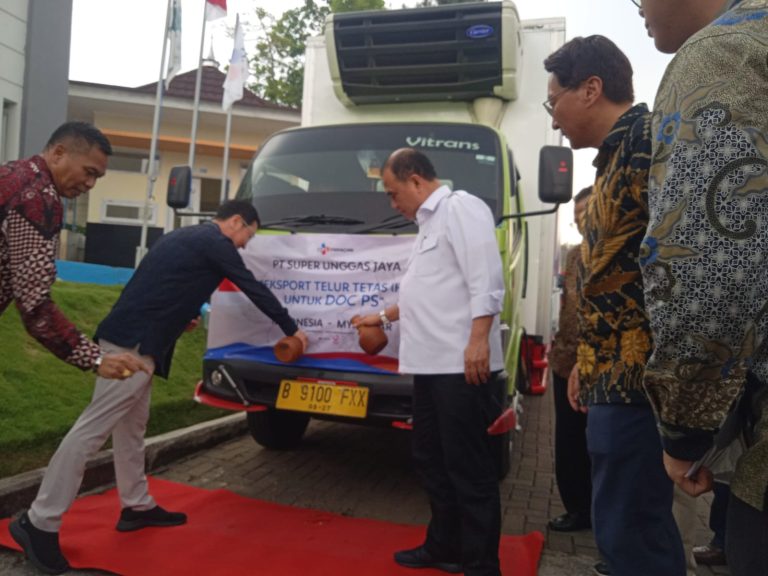 PT Super Unggas Jaya Kembali Ekspor Telur Tetas ke Myanmar