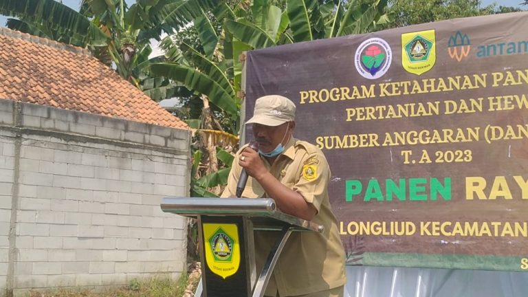 Petani Padi yang Merugi Tergabung di Poktan Bisa Klaim Asuransi Usaha Tanam