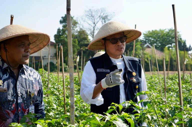 Transformasi Pertanian Modern, Petani Masa Kini Wajib Terapkan Smart Farming