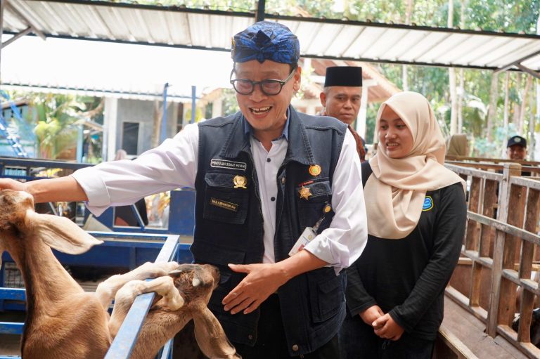 Diversifikasi Produk dan Olahan Kambing Jadi Bukti Keberhasilan P4S Lurisae Purworejo