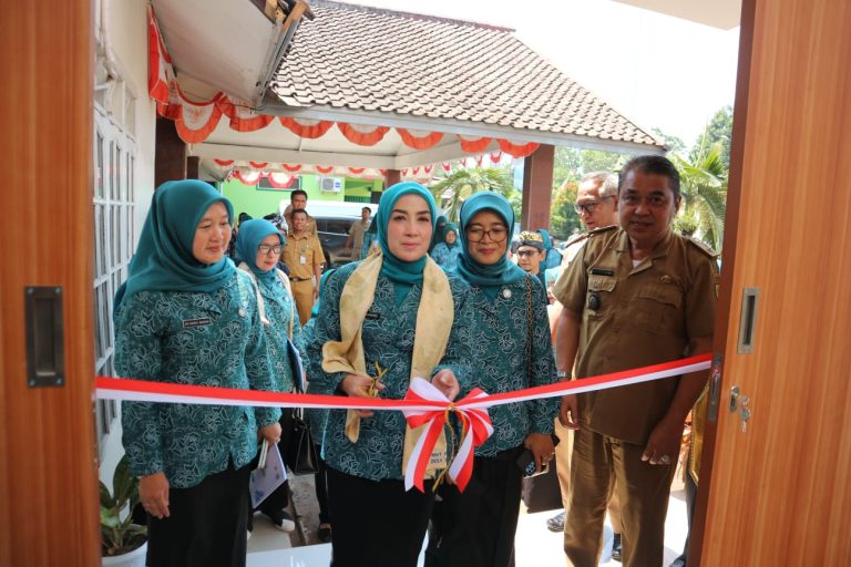 Halimatussadiyah Apresiasi Ruang Kerja TP PKK Desa Wanaherang