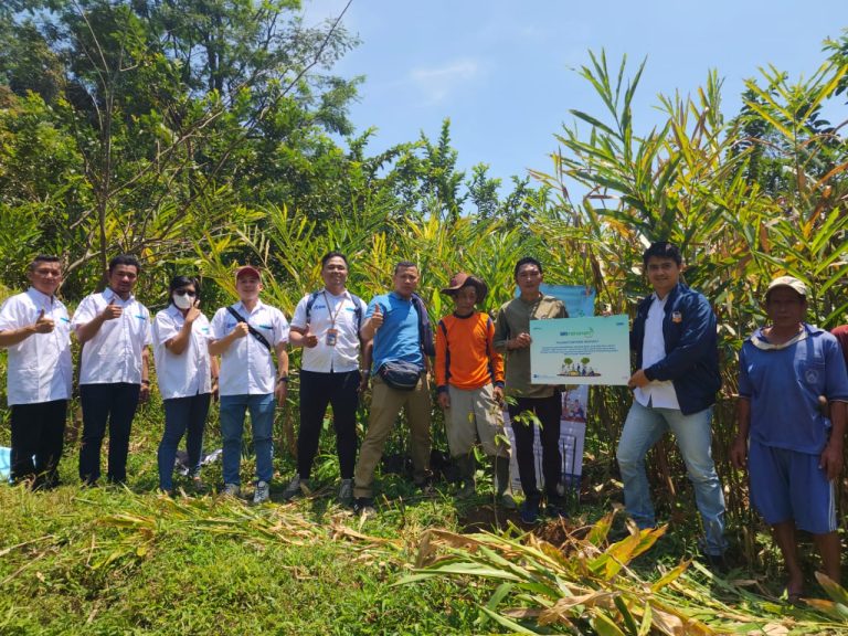 Dukung Akselerasi Pertanian, BRI Unit Cibungbulang Tanam Pohon Buah di Pamijahan