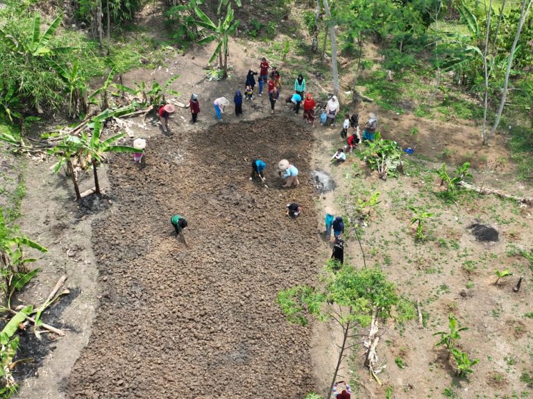Manfaatkan Lahan Eks HGU, KWT di Nanggung Tanam Sayur-mayur