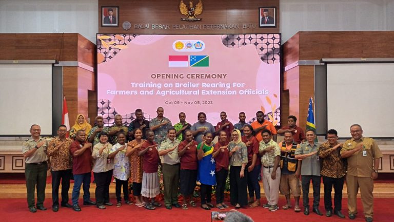 Kementan Latih Peternak Dan Penyuluh Negara Kepulauan Solomon Beternak Ayam Broiler