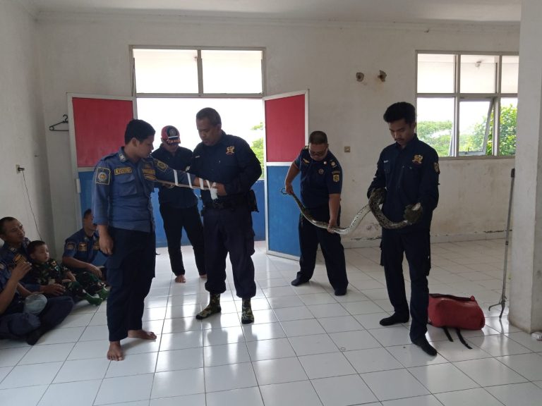 Damkar Edukasi Anggota Penanganan Medical dan Hewan Berbahaya