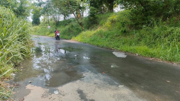 Dua Hari Hujan Turun, Kubangan Kerbau di Jalan Sawah Baru Muncul Lagi