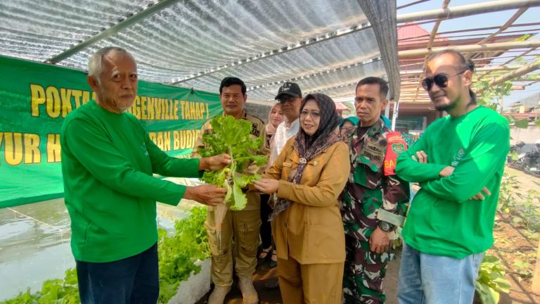 Desa Ciomas Rahayu Launching Ketahanan Pangan Bersama Poktan Bougenville