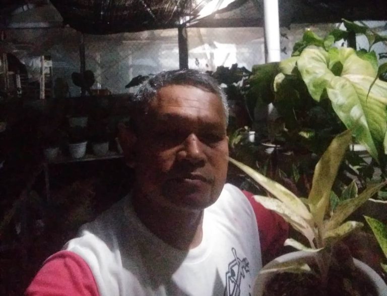 Pencurian Tanaman Marak Lagi, Pedagang Tanaman Hias di Sukaharja Resah