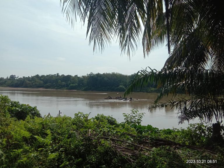 Tragedy of The Commons Akibat Peti yang Marak di DAS Kuantan dan Singingi